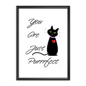 You are just perfect